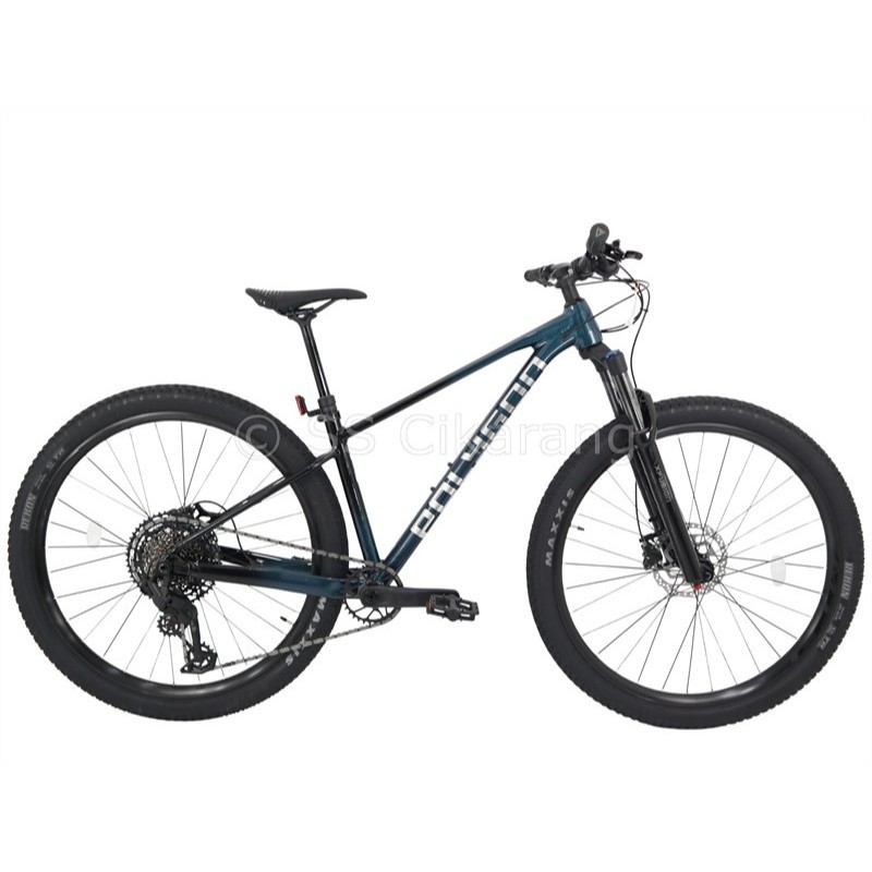 Polygon Xtrada 7 29