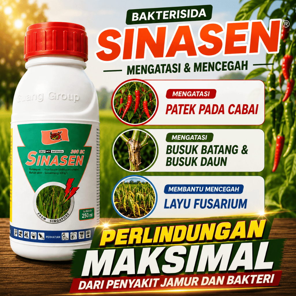 Sinasen 300 EC 250ml Bakterisida Atasi Penyakit Jamur & Bakteri Tanaman Padi Cabai Layu Fusarium Pat