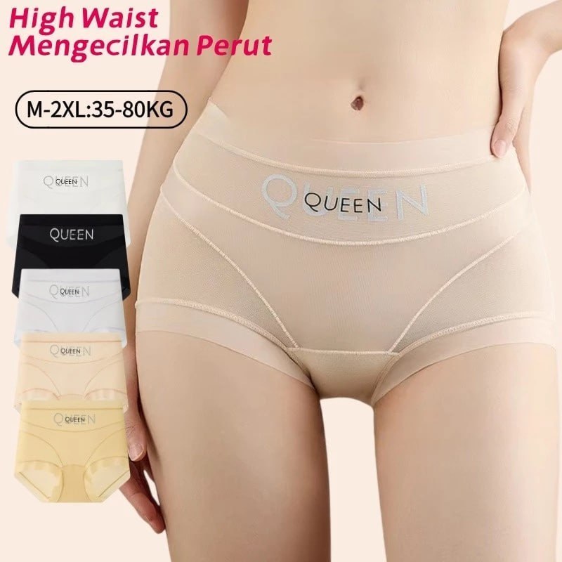 Paris elegance sheer mesh underwear premium
