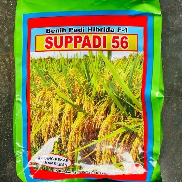 SUPPADI 56 Benih Padi Hybrida 1 Kg - Bibit Padi Hibrida 1kg SUPADI 56 Produk AGROSID KEMASANPABRIK