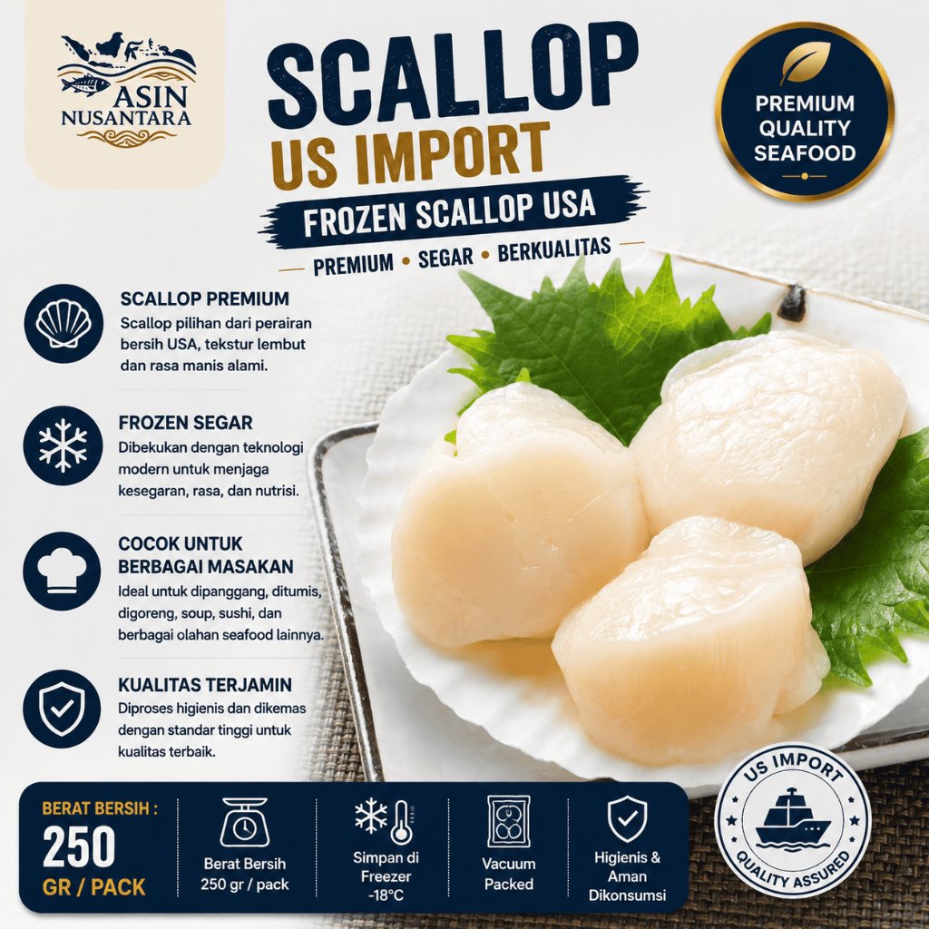 Scallop US Import | Frozen Scallop USA | Scallop Jumbo | Kerang Laut
