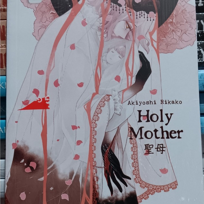 Novel Holy Mother