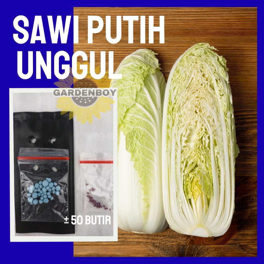 Bisa bayar di tempat - Sawi Putih 50 biji bibit Benih Sawi Putih Dataran Rendah Sayur Slobor Unggul 