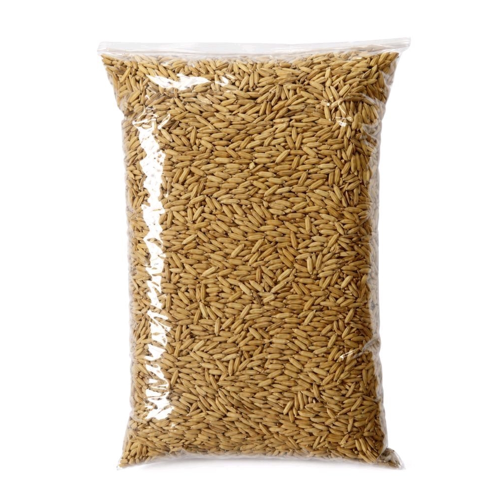 Bibit padi gogo padi huma darat 1 kg