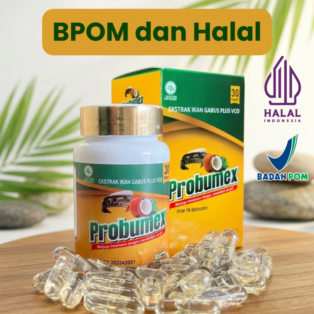 Probumex Ekstrak Ikan Gabus Plus VCO kapsul 30 kapsul BPOM Halal Indonesia