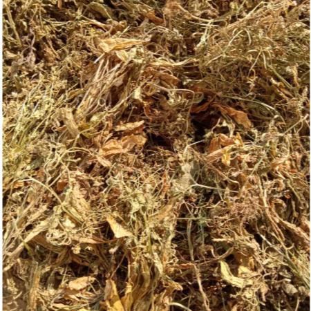 50 gram Daun Sawi Tanah Kering / Sawi Taneuh Kering Herbal Tradisional