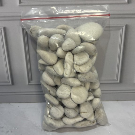 Batu Koral Putih Kupang Besar 1kg | Batu Aquarium Batu Koral Taman Dekorasi Pot