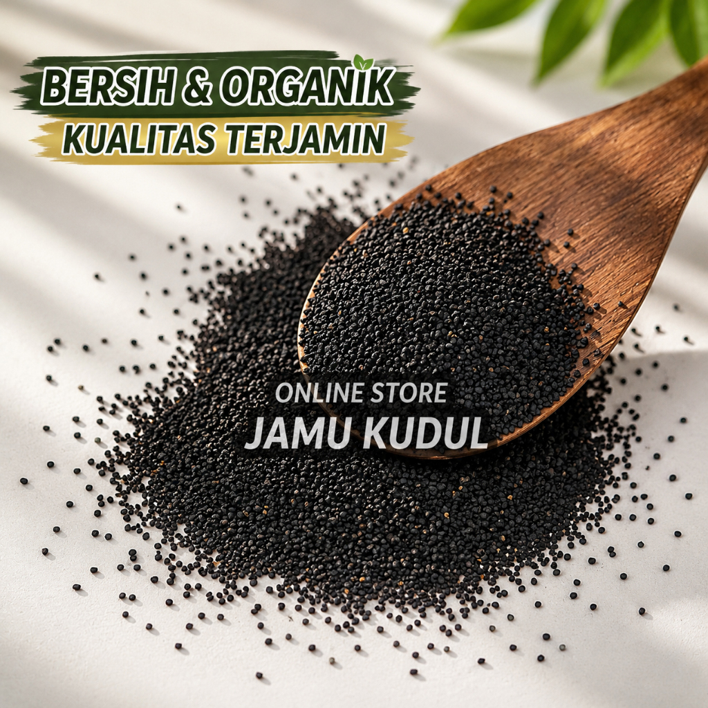 Jintan Hitam 500gr Asli Habatussauda