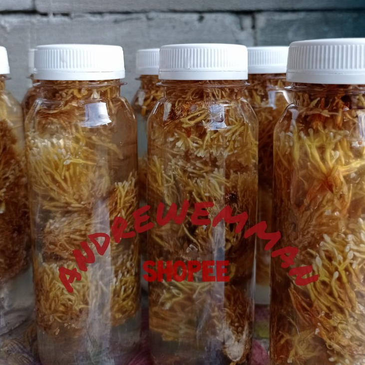 spora bibit biang jamur JAKABA pupuk organik