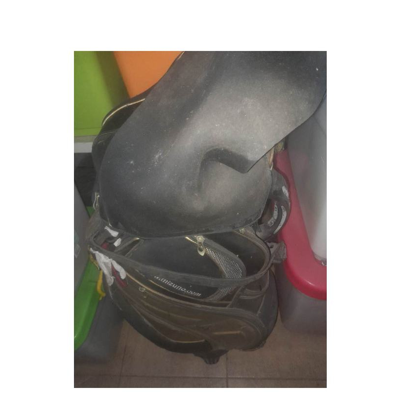 Tas golf mizuno