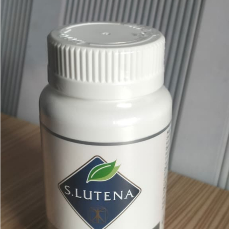 S Lutena Asli Original Dari Jepang
