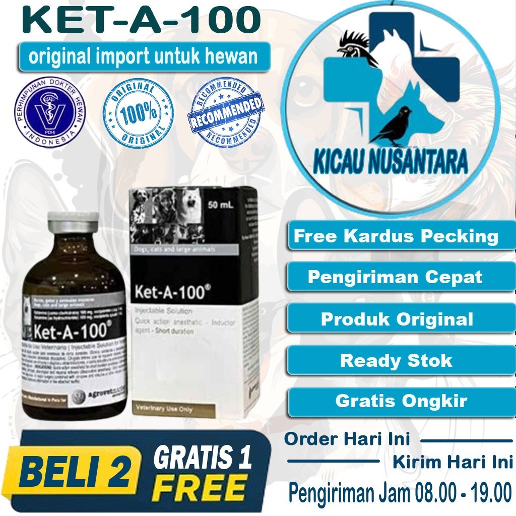 (Beli 2 Gratis 1) Ket-A-100 Obat Bius Untuk Hewan Terbukti Ampuh