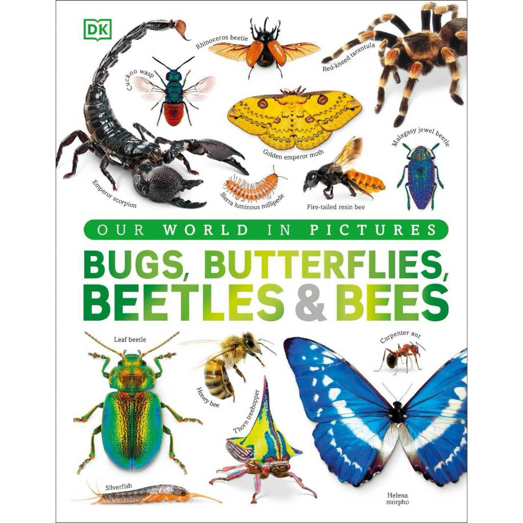 DK OUR WORLD IN PICTURES: BUGS, BUTTERFLIES, BEETLES & BEES  A Visual Guide to the Fascinating World
