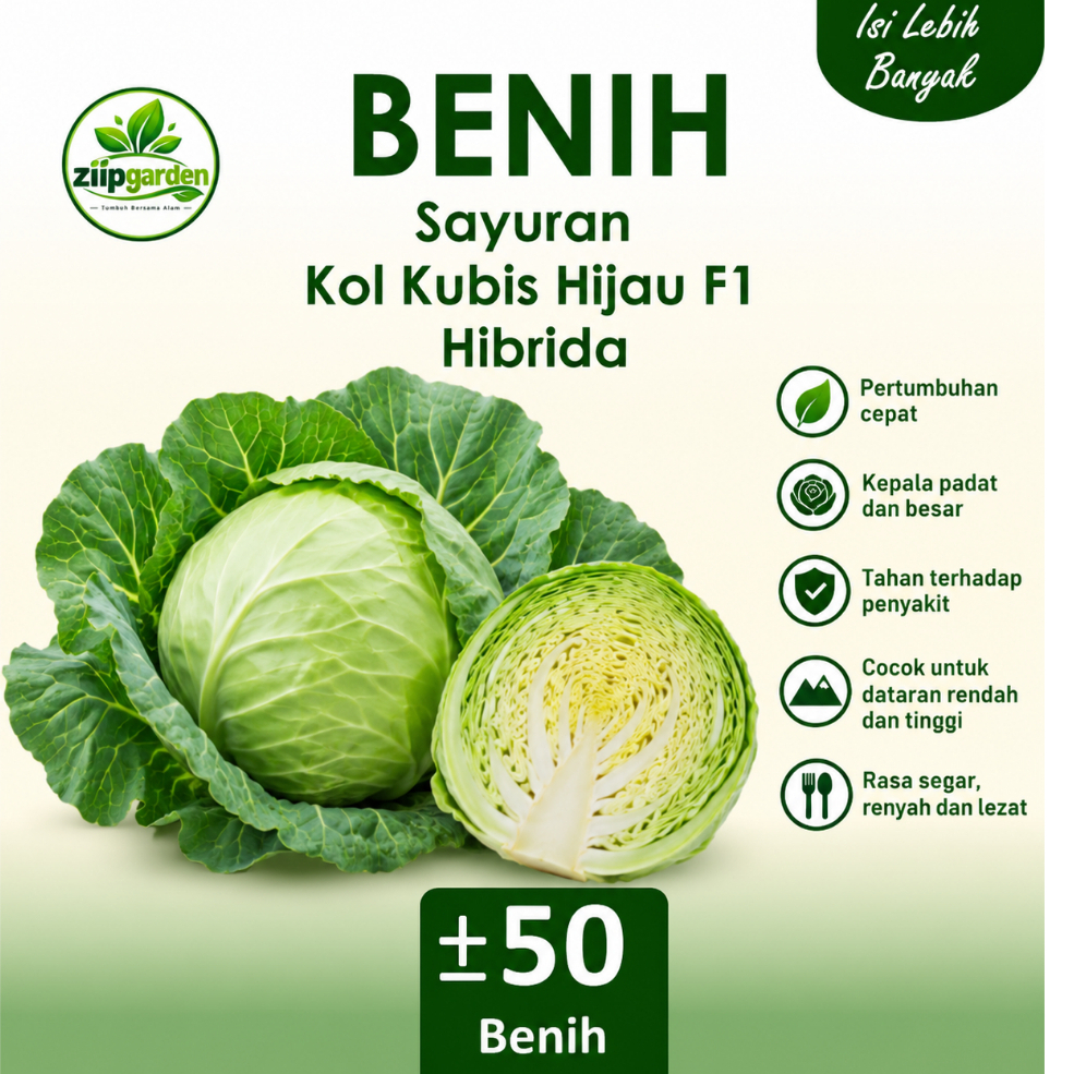 Benih Sayuran Kol Kubis Hijau F1 Hibrida