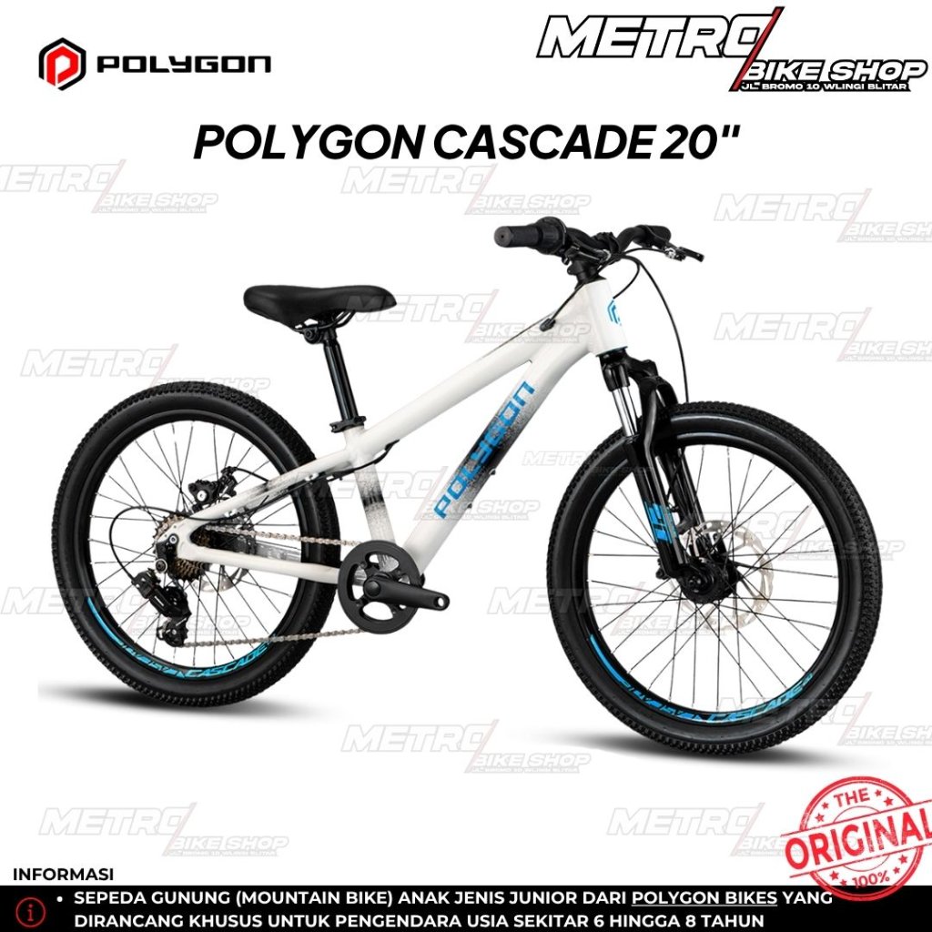 Sepeda anak MTB Polygon Cascade 20 inch sepeda gunung anak Polygon