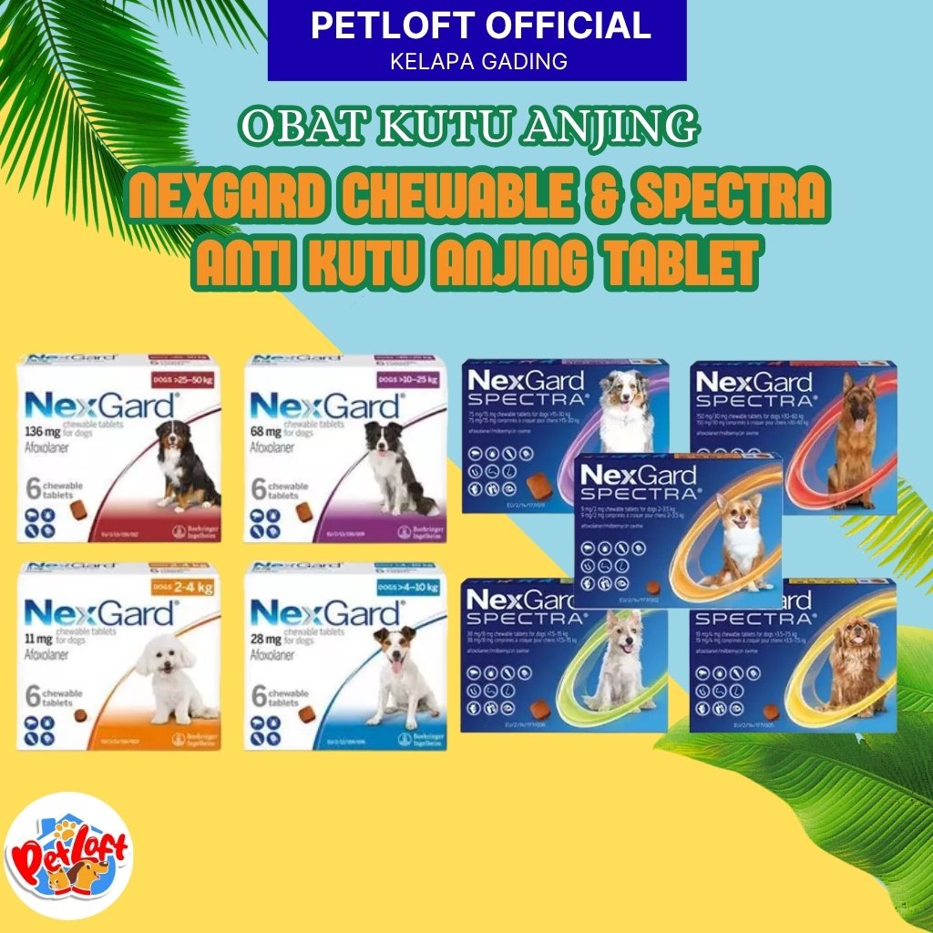 Nexgard Chewables Nexgard Spectra Obat Anti Kutu Anjing & Demodex Original Bukan Repack 1 Tablet