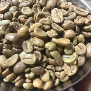 greenbean bali natural wine