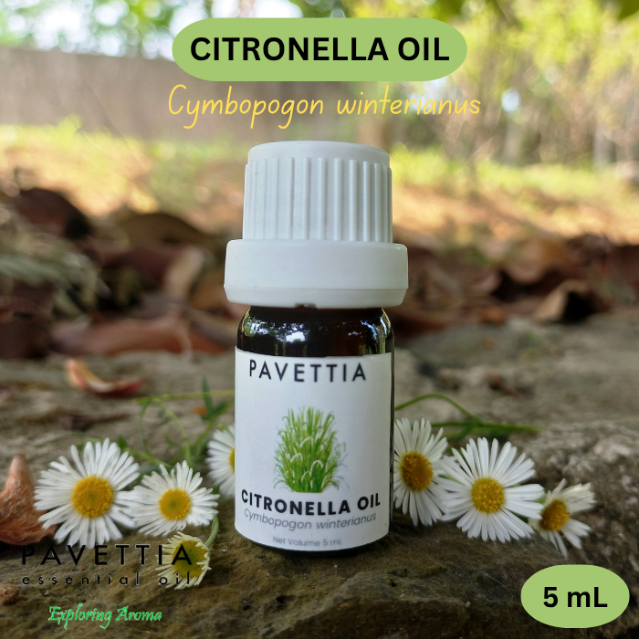 5 ml sampel - citronella oil - minyak sereh wangi (Cymbopogon winterianus/nardus) - Essential oil / 