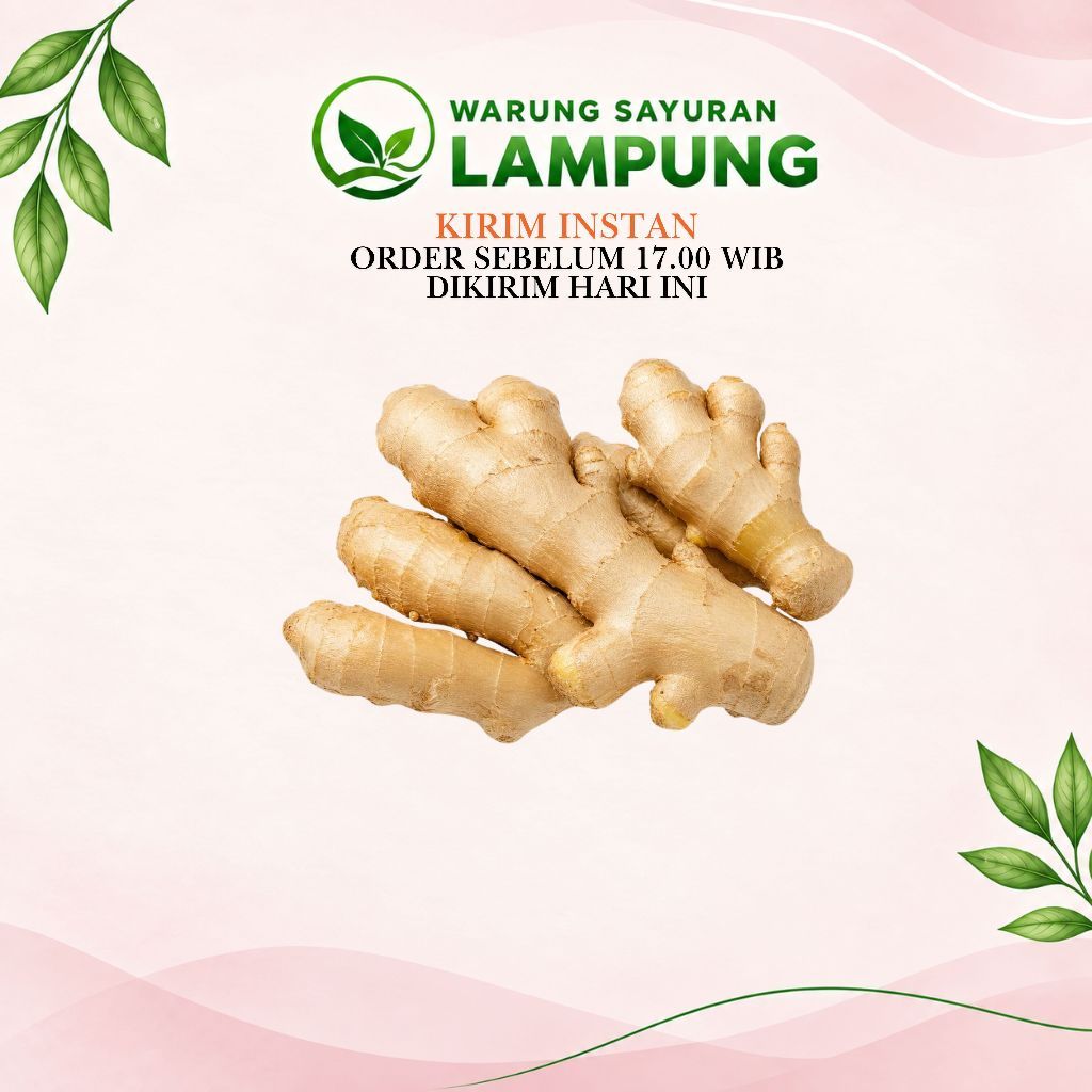 Jahe Segar Warung Sayuran Lampung