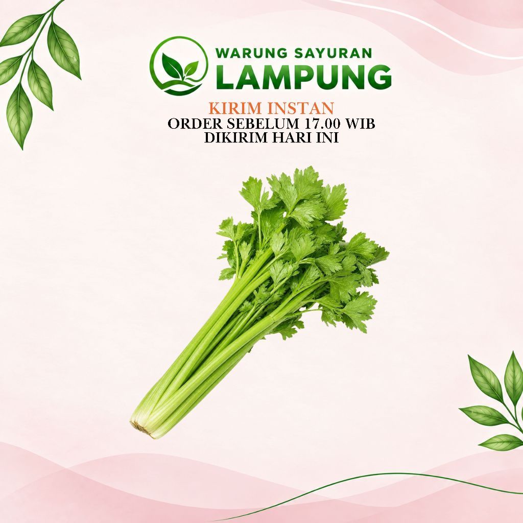 Seledri Segar | Warung Sayuran Lampung