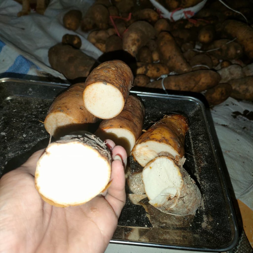 Patahan Ubi Gembili  ketan enak,gurih