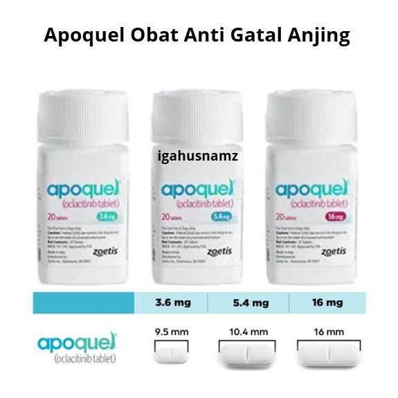 ( 10 TABLET ) Apoquel Oclacitinib Tablets | Obat Anti Gatal Pada Anjing