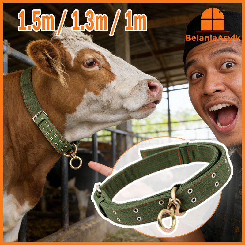 Kalung Sapi Kontes Kalung Hewan Kanvas Tali Sapi Kuat Tali Tuntun Untuk Tali Kambing Ternak dan Kalu