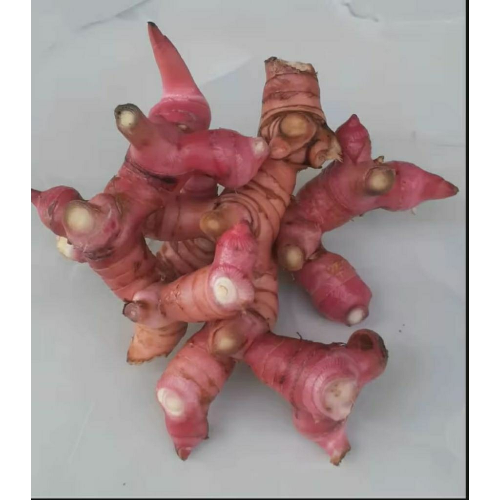 

Lengkuas / Laos (Segar Super)