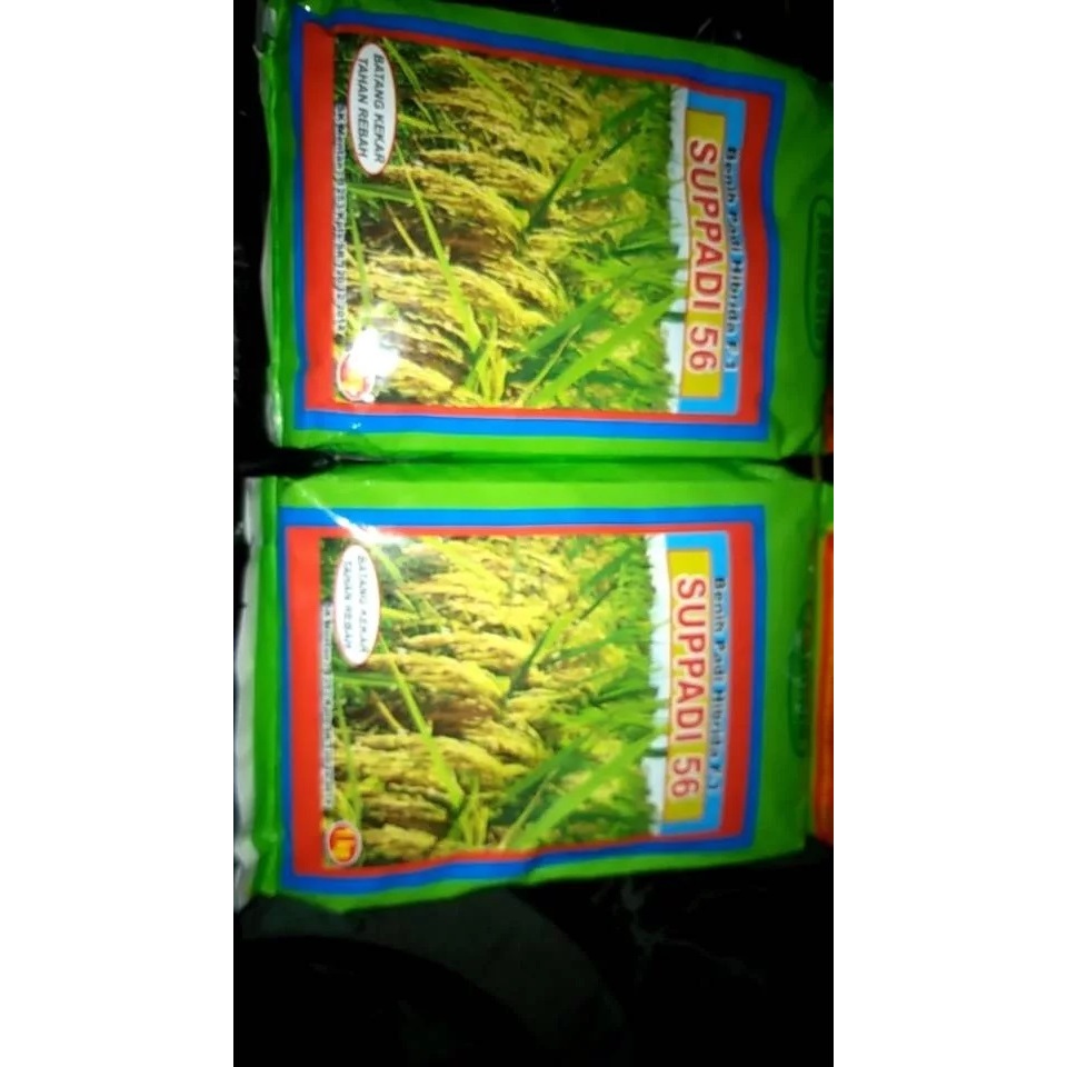 SUPPADI 56 F1 SUPADI 56 ORI ORIGINAL ASLI 100% kemasan 1 kg Exp. SEPT 2026