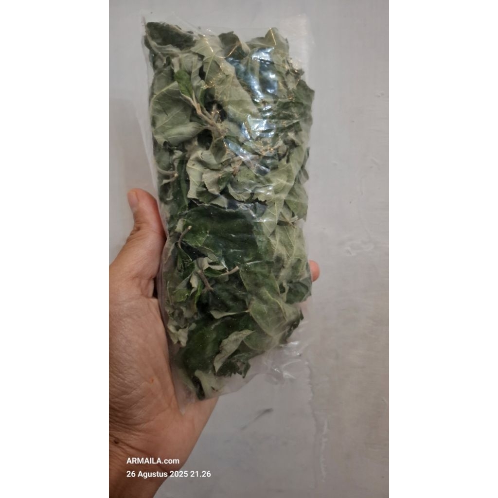 

Daun Bidara Kering Hijau Teh Daun Bidara Obat Herbal Bidara