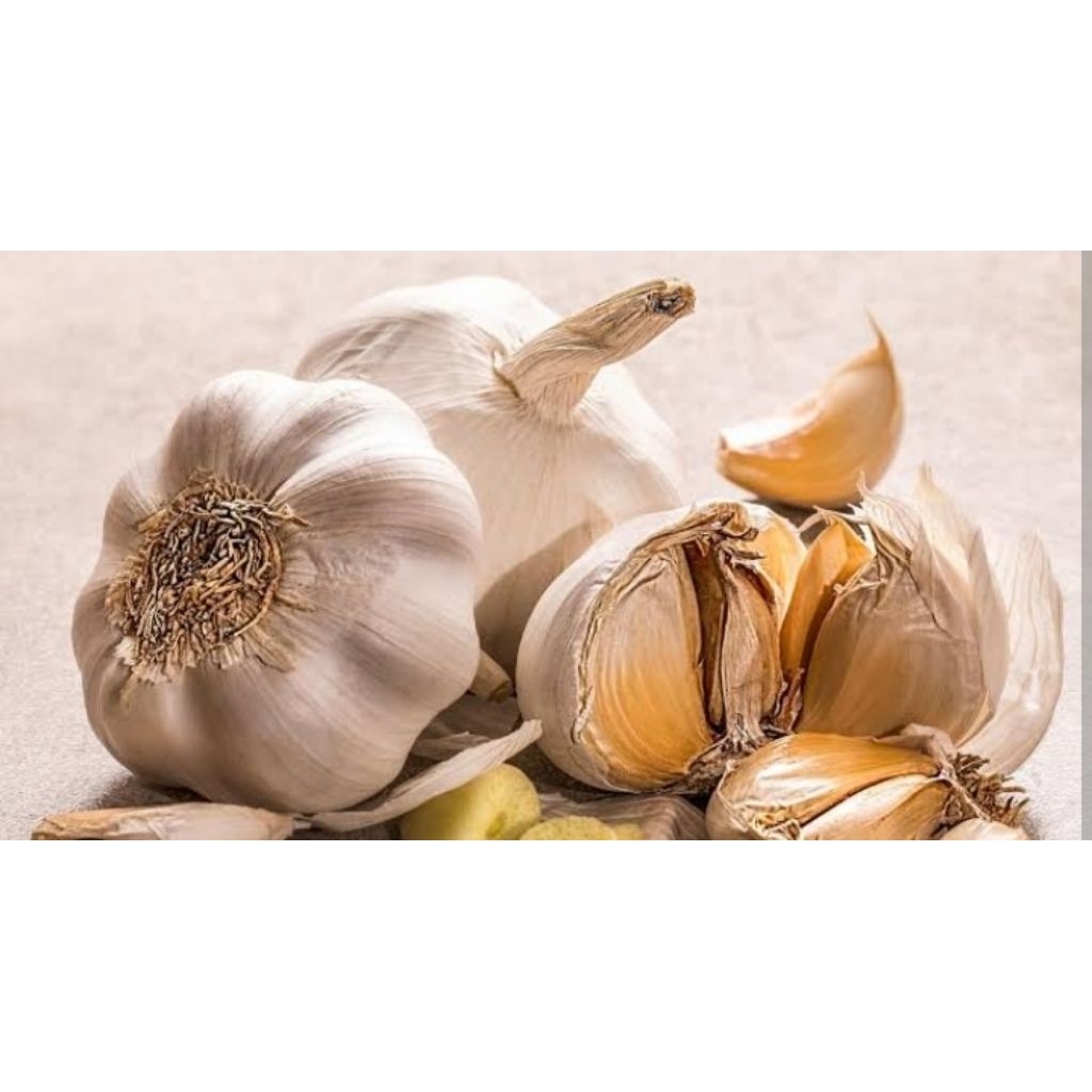 

bawang putih cutting