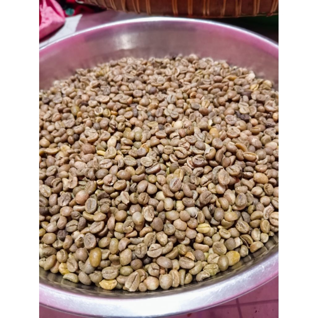 PROMO GREEN BEAN ROBUSTA PAKET 5KG KOPI ASALAN ORIGINAL ROBUSTA LAMPUNG