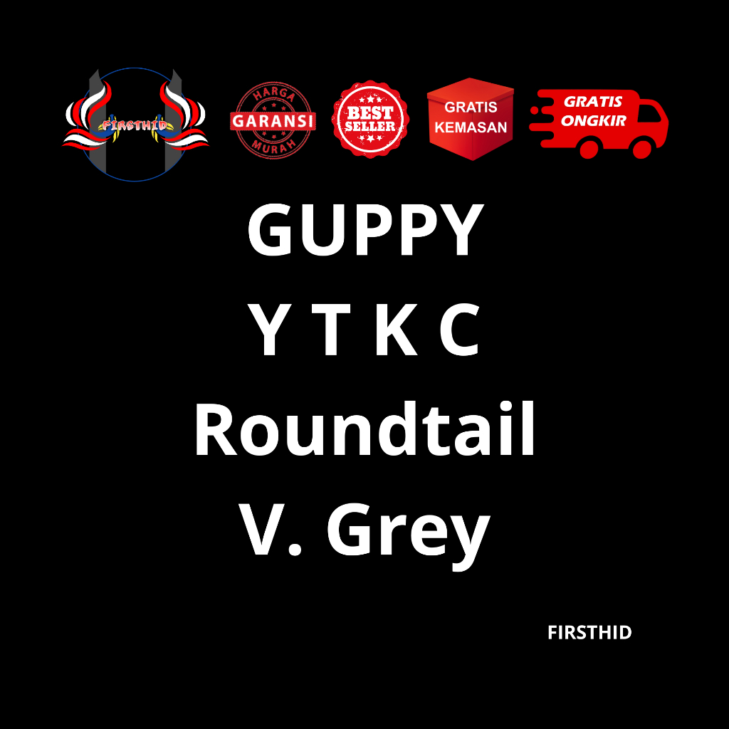 (BEST SELLER) Aksesoris Akuarium GUPPY YTKC Roundtail versi Grey (Yellow Tiger King Cobra) penghias 