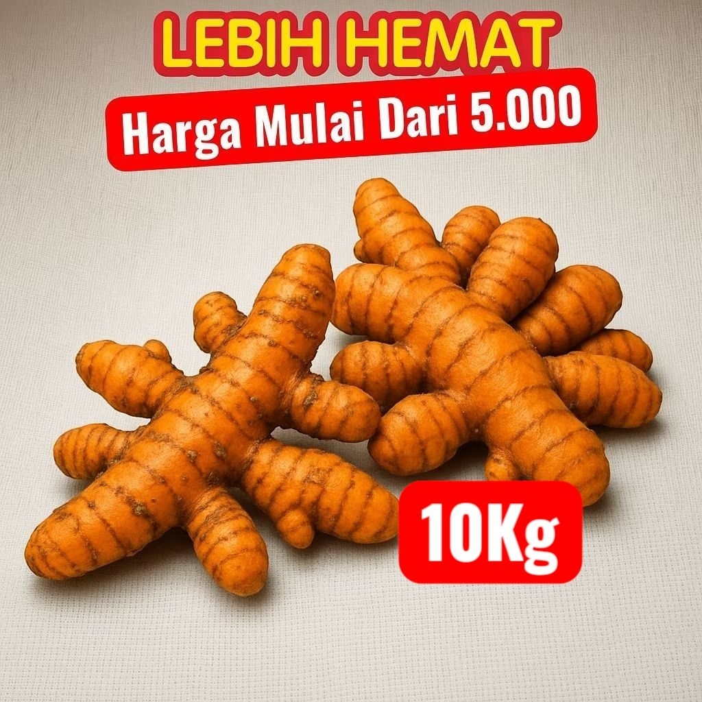 

PROMO MURAH Kunyit segar super 1kg