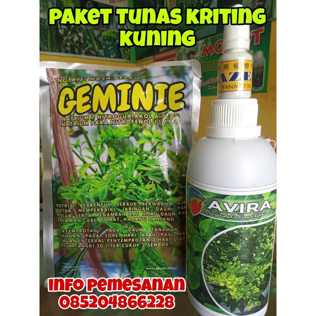 

paket kriting kuning cabe