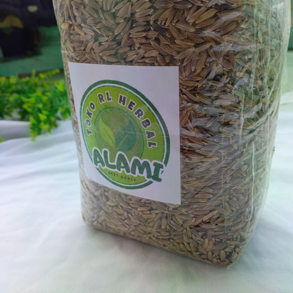 Bibit padi ketan hitam kualitas unggul - 1 kg