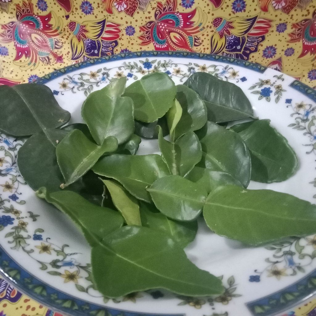 

daun jeruk purut segar organik per lembar