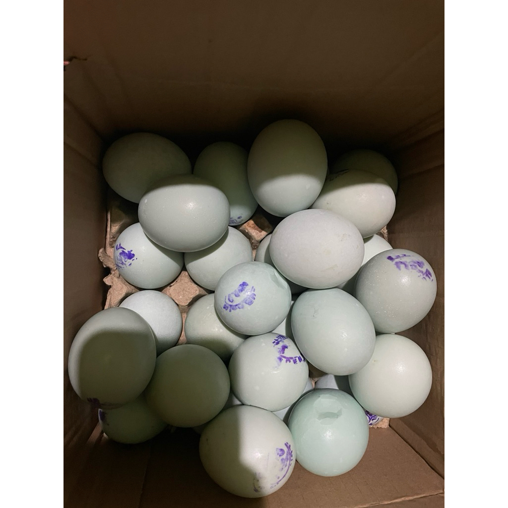 

Telur Asin AsliBerebes