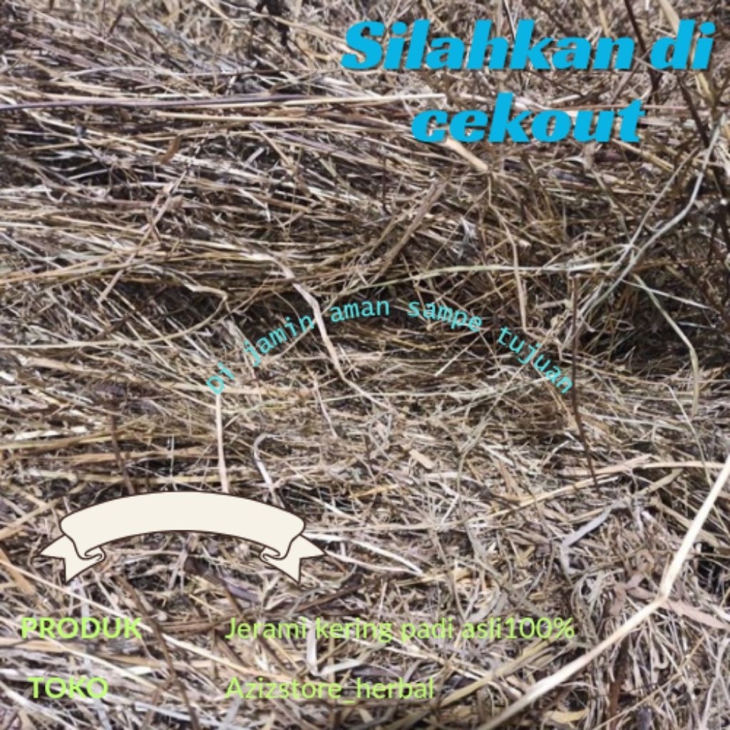 jerami kering/ jerami padi kering 1 kg siap pakai