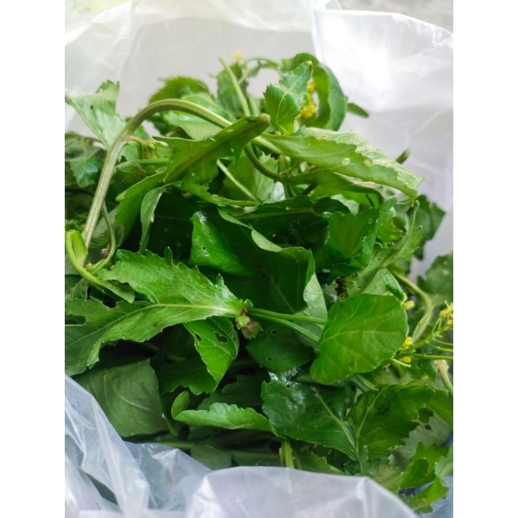 

Kulupan Sayur Sawah Fresh 1 kresek