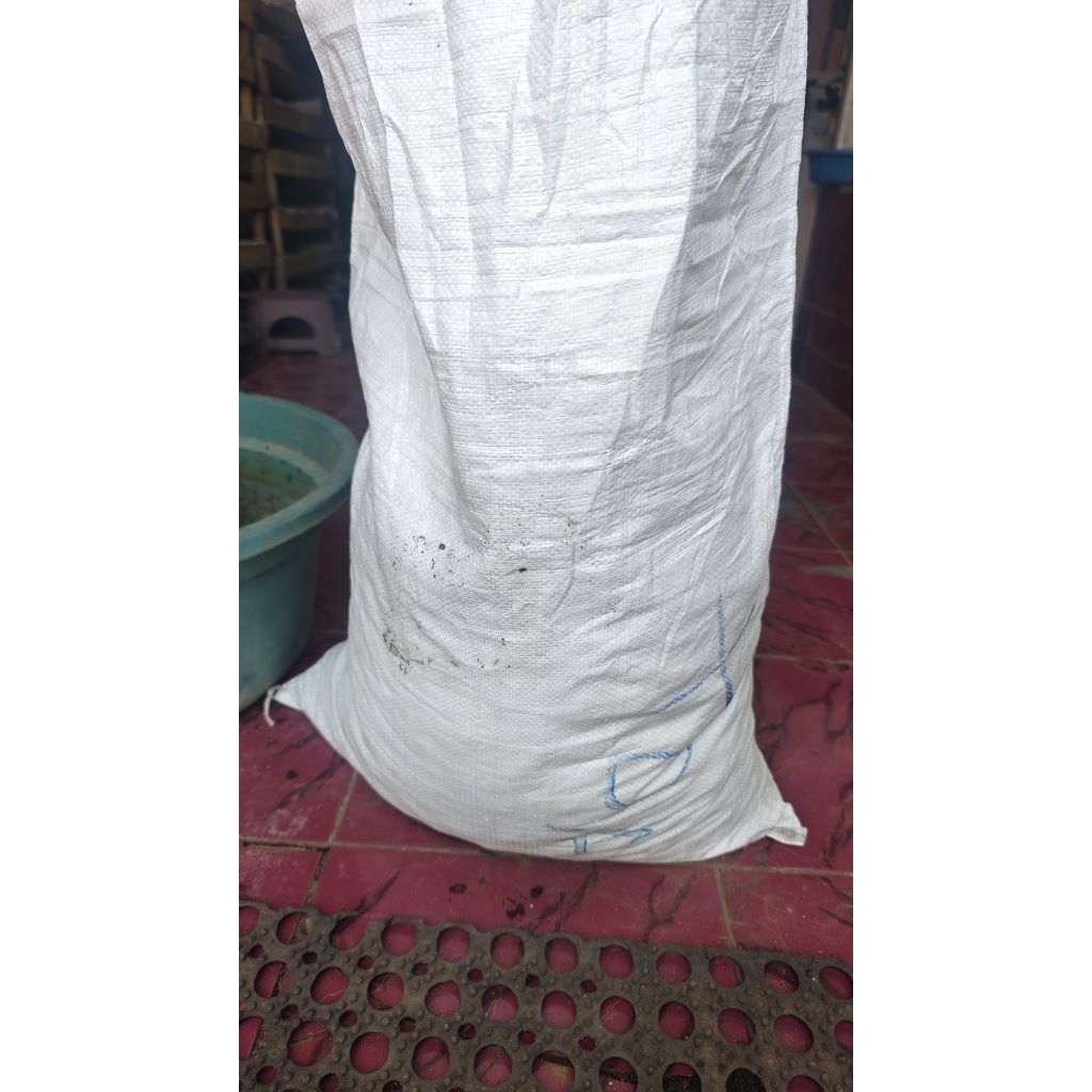 Kohe Sapi fermentasi asli