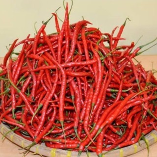 

Cabe Keriting Merah 500 Gram Free Ongkir