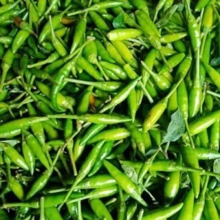 

Cabe Ijo Kecil 500 Gram - Small Green Chili Peppers