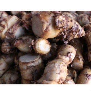 

Umbi Ganyong 1 Kg Segar Organik Free Ongkir