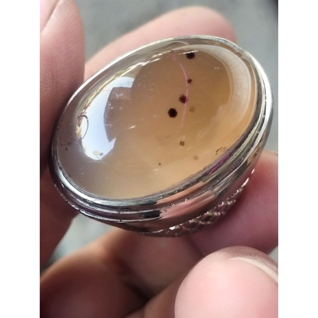 bacan Obi warna coklat solar totol jumbo