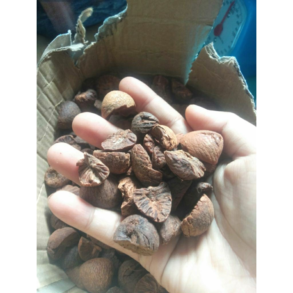 

Pinang tua iris kering 500Gram ,obat tradisional alami