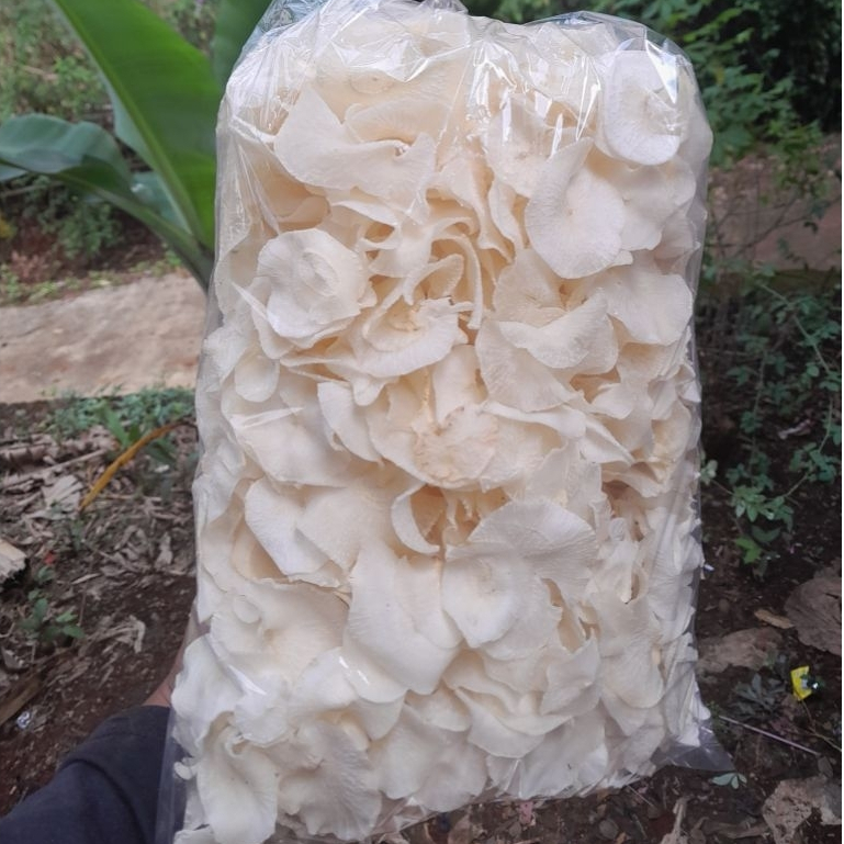 

keripik singkong mentah berasa seperti gadung isi 1 kg