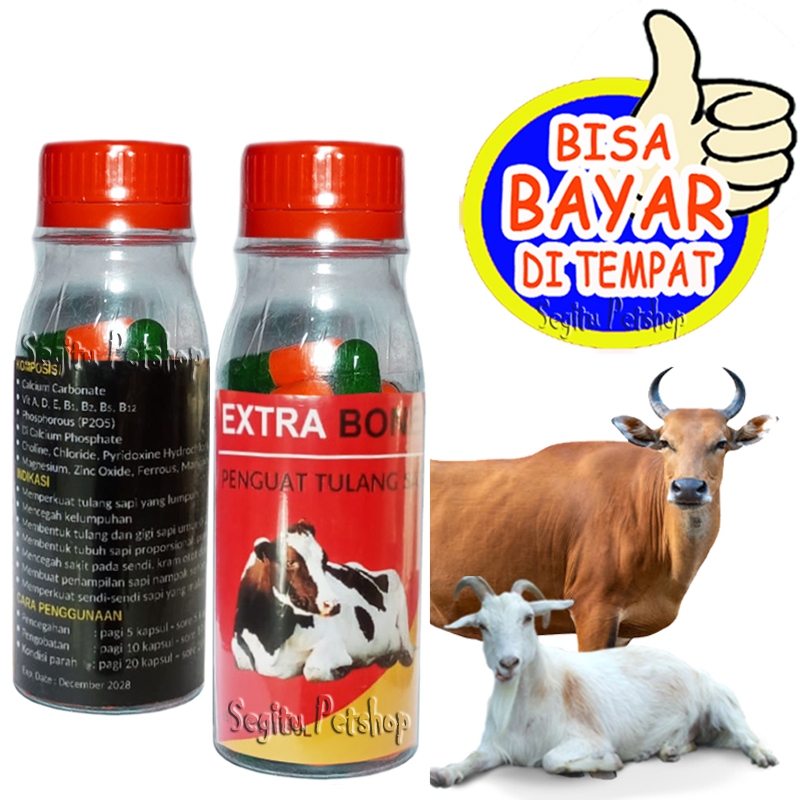 Vitamin Sapi Kambing Obat Lumpuh Penguat Tulang Extra Bone