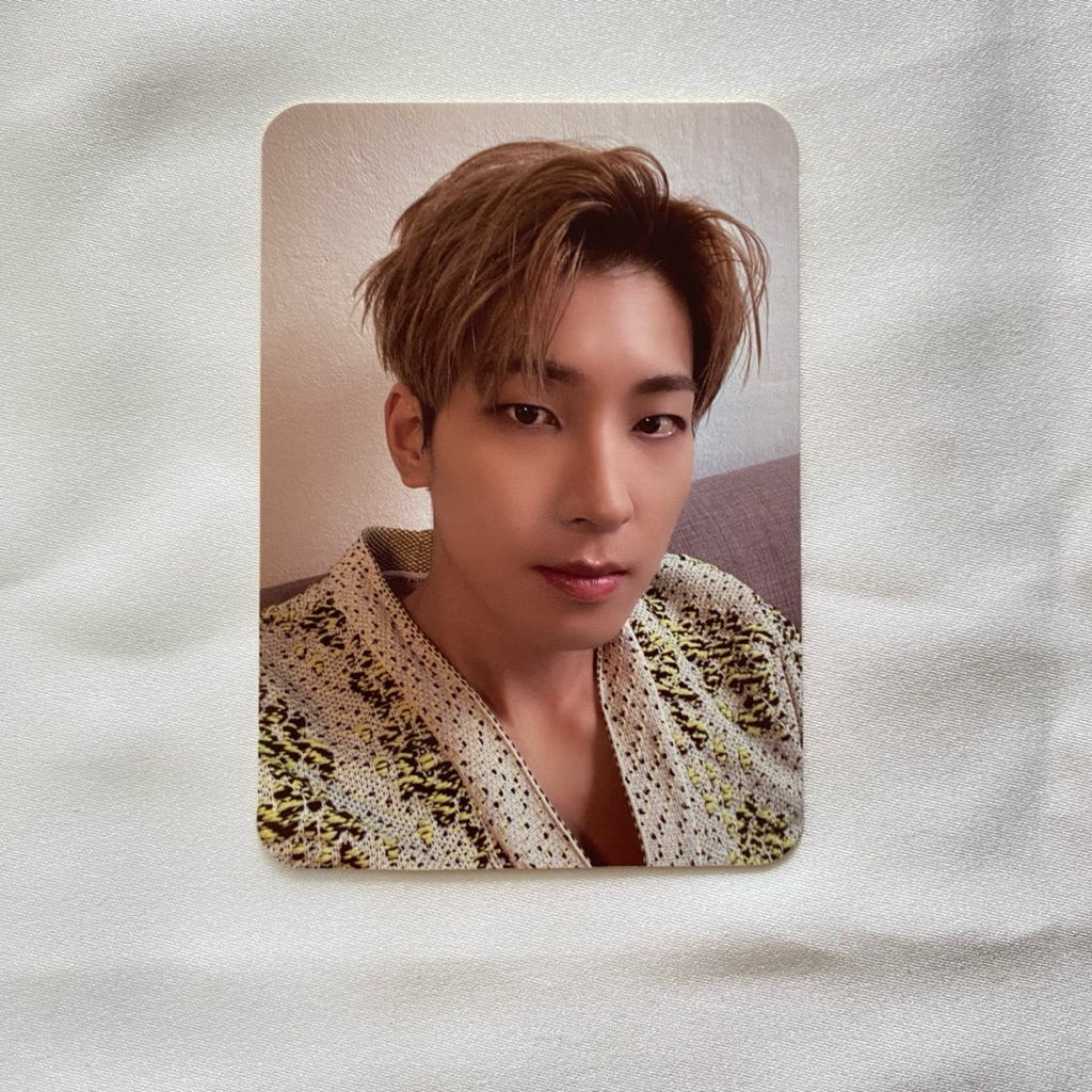 READY STOCK OFFICIAL PHOTOCARD PC SEVENTEEN WONWOO DICON