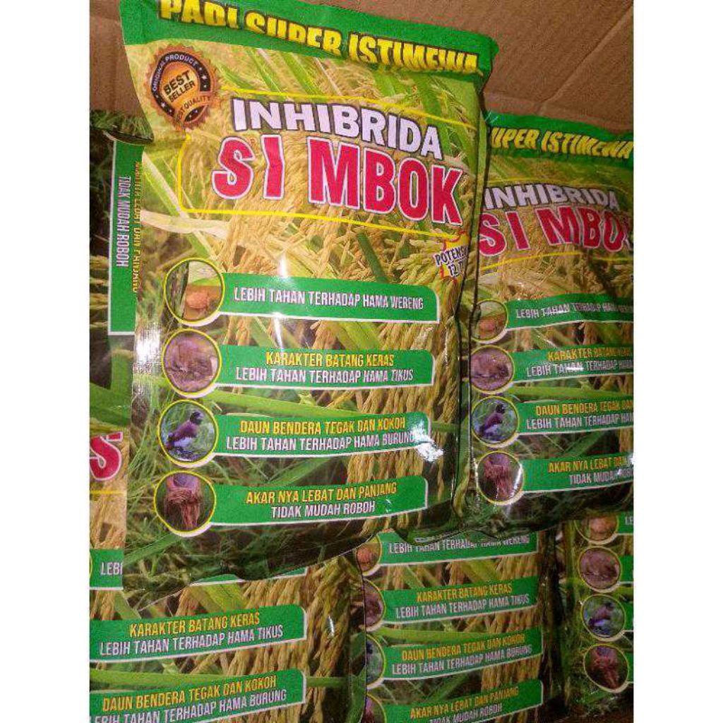 (10KG) BENIH PADI SIMBOK ORIGINAL BERKUALITAS UNGGUL